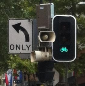 Look hard upon this green light, for if you heed not my advice, you shall never see it in the wild