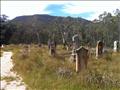 Hartley Vale Cemetery on the epic ride