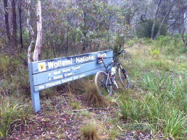 Speedfox at Wollemi National Park Entrance
