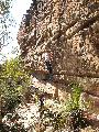 Unknown Climber, Bullethole Wall, Berowra. The route is Fox Sox Pox