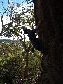 Taylor Made, 16, Berowra