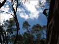 Bardens Lookout, Jan 2007