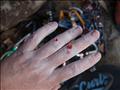 Skinned Knuckles, Memory Cathedral (22), Mount K
