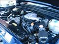 3961_7_m.jpg
