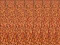 Stereogram magic eye