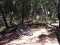 The Speedfox at the Lockyer's Line track