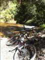 Speedfox at Bedford Creek on the Anderson's/Ingar Trail
